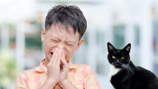 How to reduce allergens in your home | Children's Health Queensland