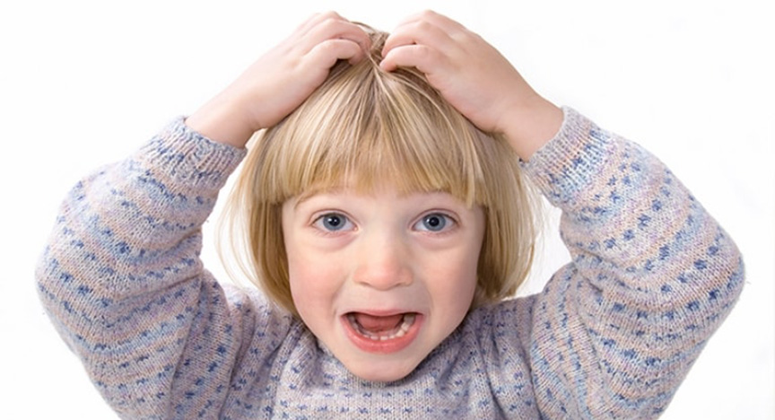 Image for Busting the myths about head lice