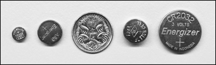 Four button batteries beside an Australian five cent coin