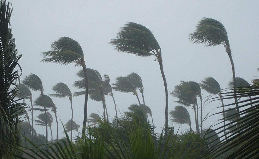 Children’s Health Queensland services during Tropical Cyclone Alfred